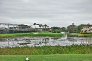 PGA National (Champion) 17th Tee